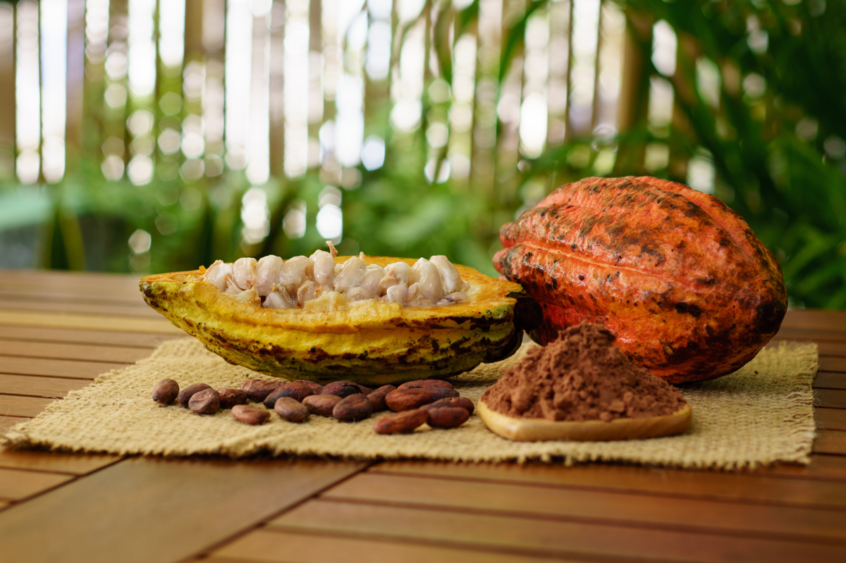 Cacao Ceremony with Conscious Breathwork